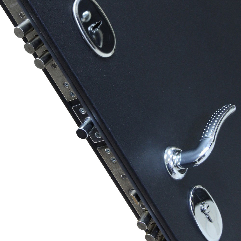 Vhodnye-dveri-Ferroni-kupit