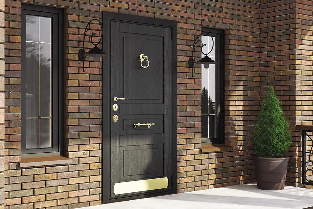 vhodnye-dveri-v-dom